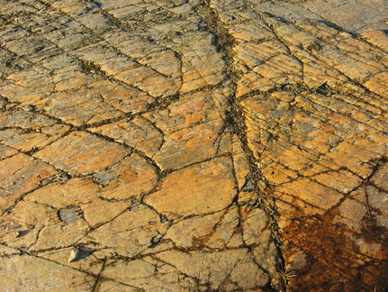 Rock photo, Silurian Slate